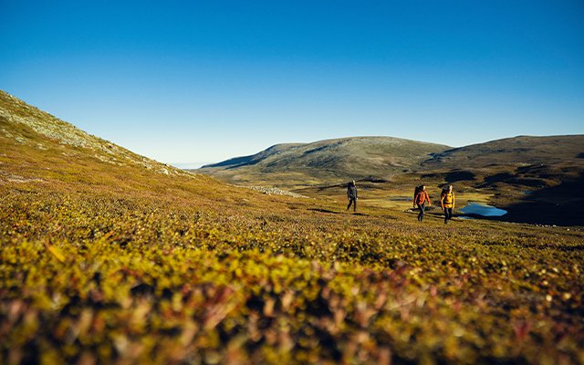 De zomer is hét moment om mooie plekken en routes in de natuur te (her)ontdekken