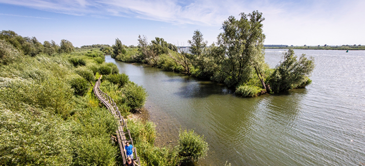 'Verdwalen’ in Nederland: de mooiste onbekende wandelstreken