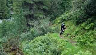 Alles voor een geslaagde dag op de mountainbike vind je bij Bever!