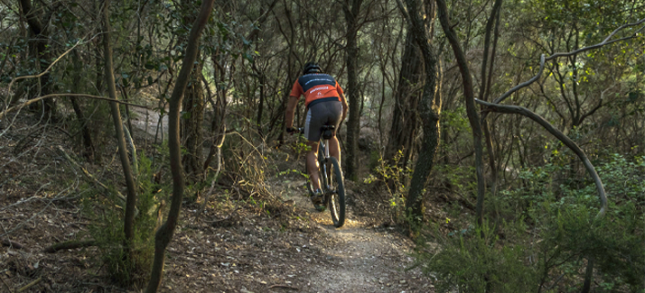 Met deze tips en producten is je mountainbiketocht altijd een succes