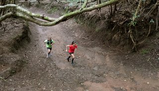 De FALKE Achilles verlicht pijn en versterkt de pees