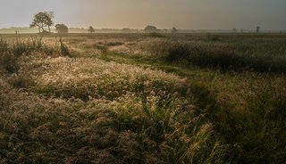 Cultuur en natuur komen samen op boswachterspad Balloërveld in Drenthe