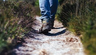 Wat trek je aan en neem je mee voor je wandeling? We helpen je met een handige paklijst