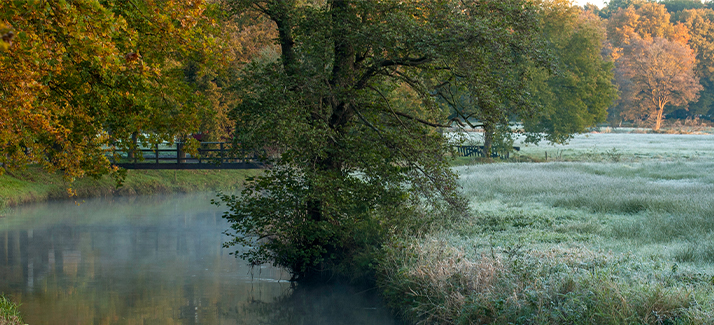 Beleef de herfst op z’n mooist met deze boswachterspaden