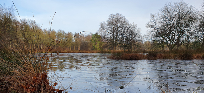 Dit zijn de mooiste winterwandelingen volgens boswachters