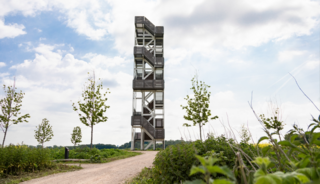 Op Boswachterspad Bergse Bossen gloort de skyline van Rotterdam aan de horizon.