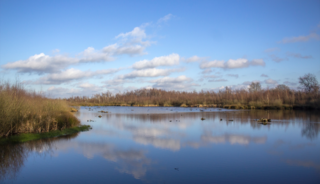 Boswachterspad Mussenbaan in de Groote Peel is een lust voor het oog