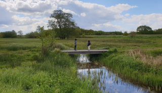 Als je Boswachterspad Ter Wupping bewandelt, vergeet je dat je in Groningen bent