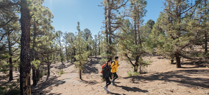 Dit zijn volgens boswachters de 8 avontuurlijkste lentewandelingen 