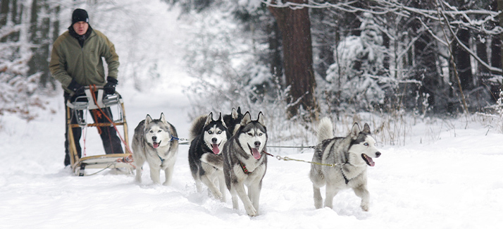 5 dingen om te doen op wintersport naast skiën