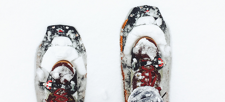 Dé upcoming activiteit in wintersportland: sneeuwschoenwandelen