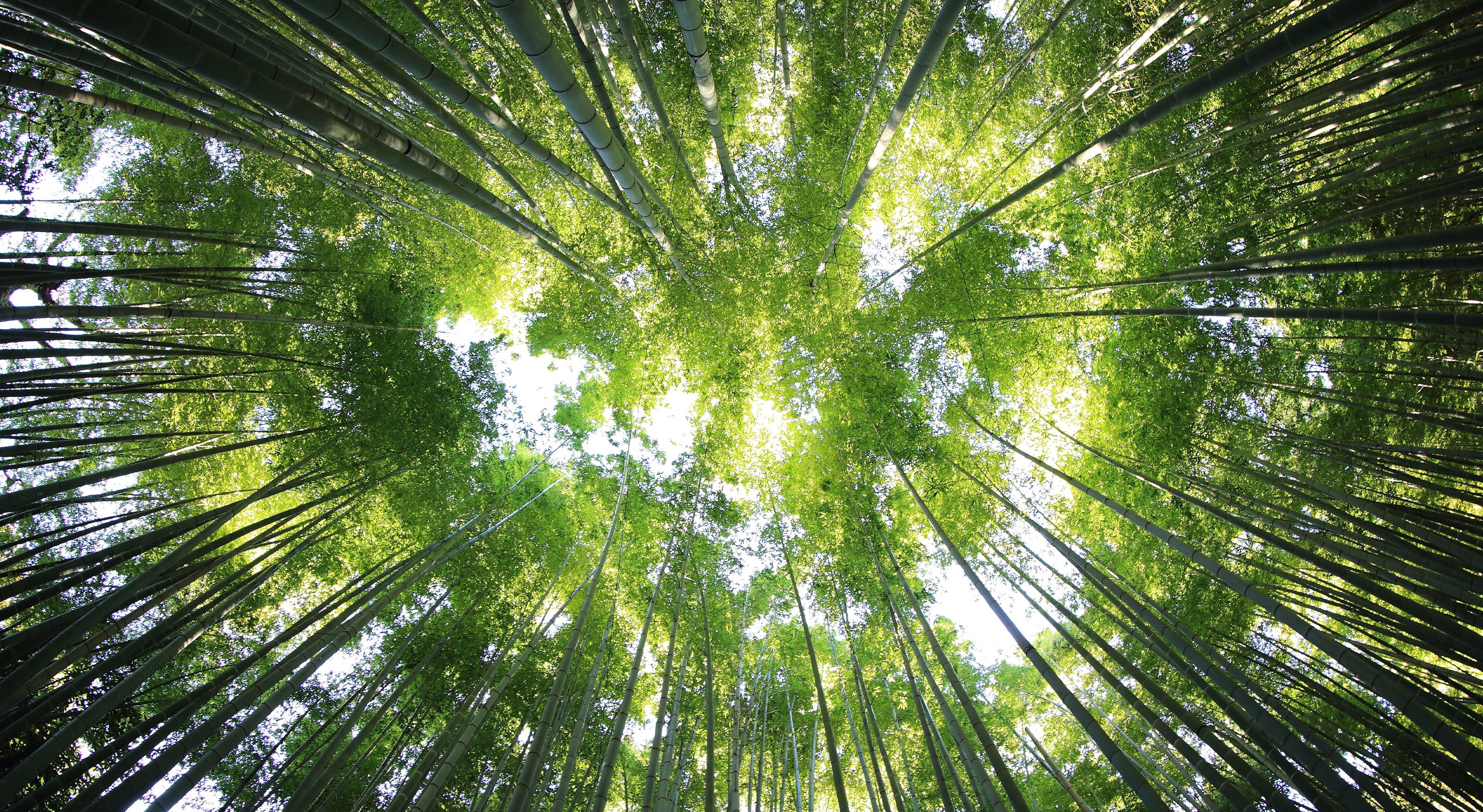 Liefde voor Buiten | Partners