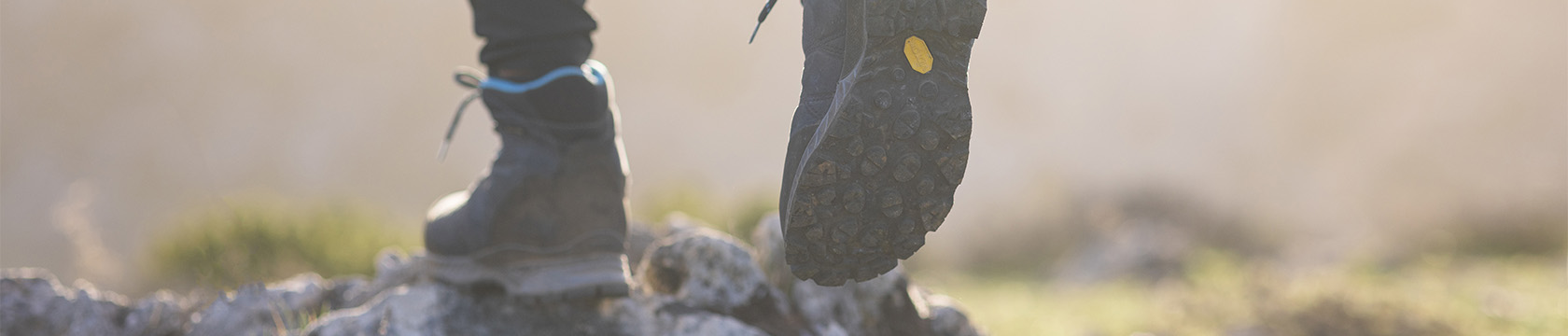 Test CDP 00111111111