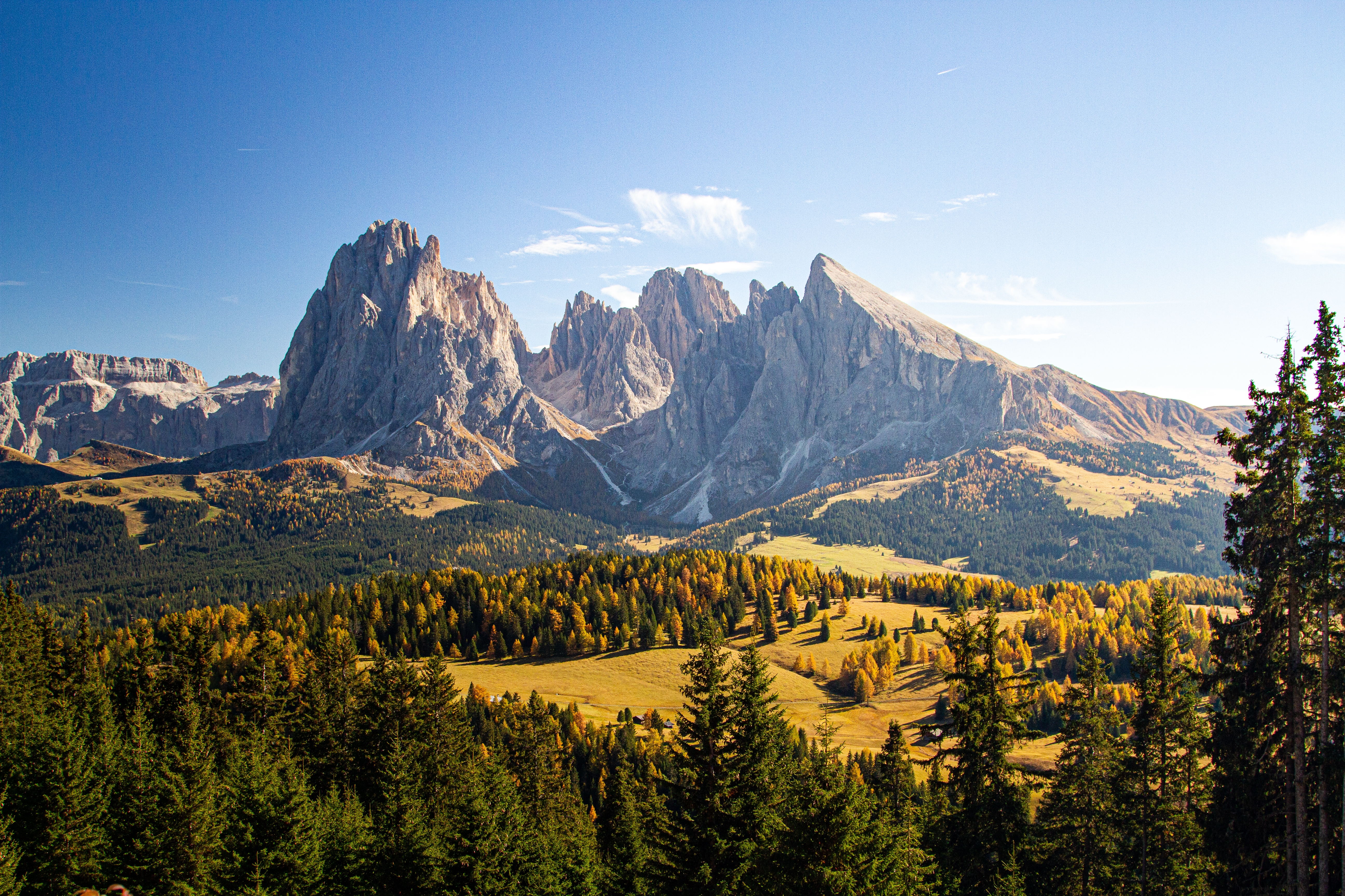 a beautiful shot of grassy hills covered in trees near mountains in Dolomites Italy